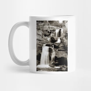 Chapman Falls Mug